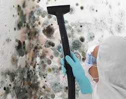 Reliable Garden City, NY Mold Removal Services Solutions